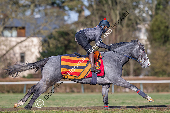 Newmarket Gallops