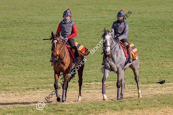Newmarket Gallops