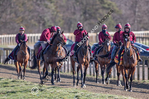 Newmarket Gallops