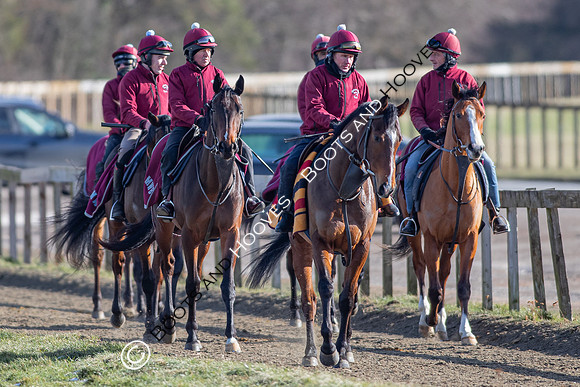 Newmarket Gallops
