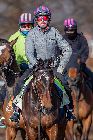 Newmarket Gallops