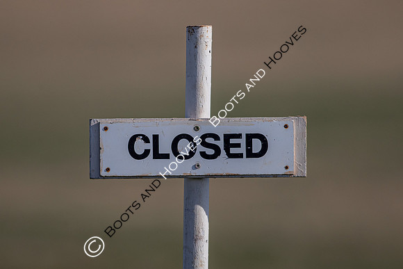 Newmarket Gallops