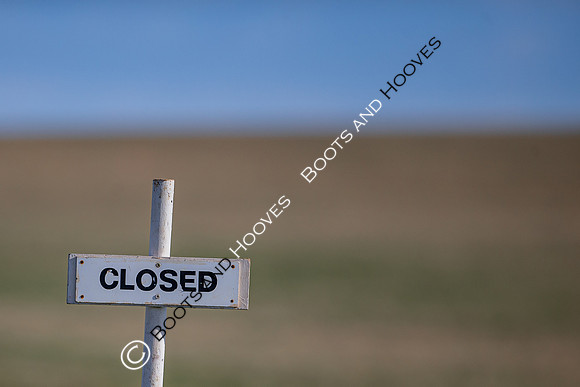 Newmarket Gallops