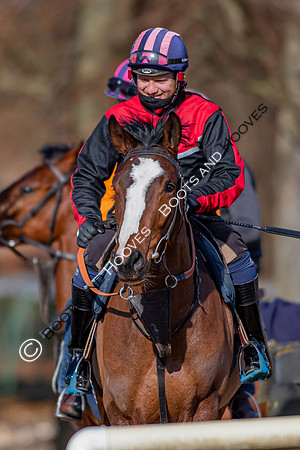 Newmarket Gallops