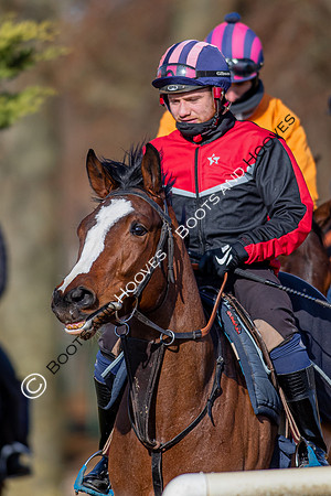Newmarket Gallops