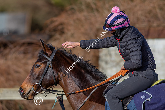 Newmarket Gallops