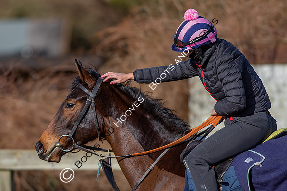 Newmarket Gallops