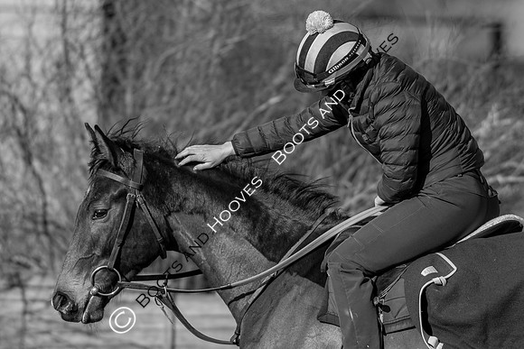 Newmarket Gallops