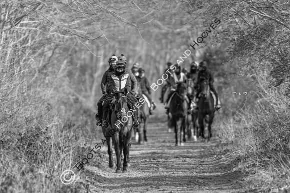Newmarket Gallops