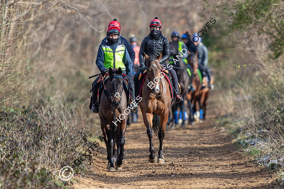 Newmarket Gallops