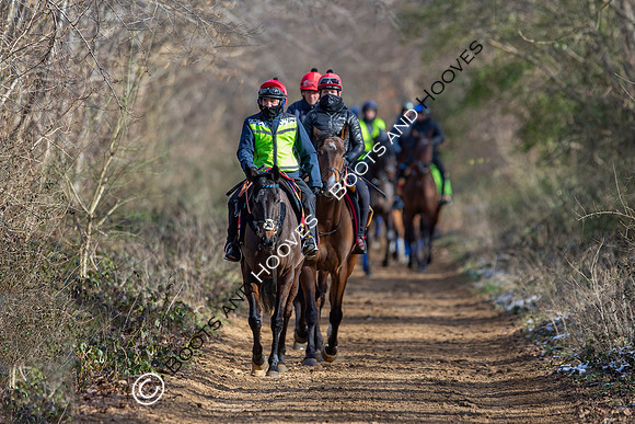 Newmarket Gallops