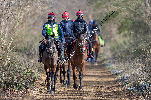 Newmarket Gallops