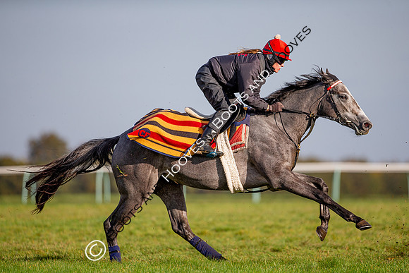 Newmarket