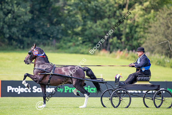 The Prenetics Royal International Horse Show