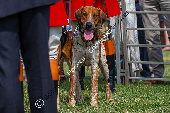 Festival of Hunting