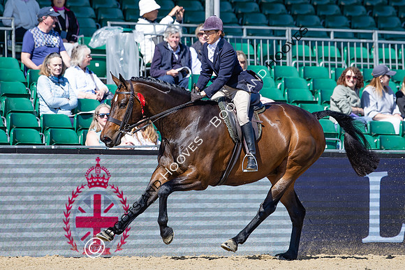 Royal Windsor Horse Show