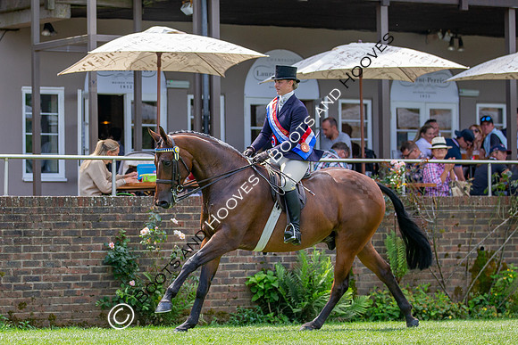 The Prenetics Royal International Horse Show