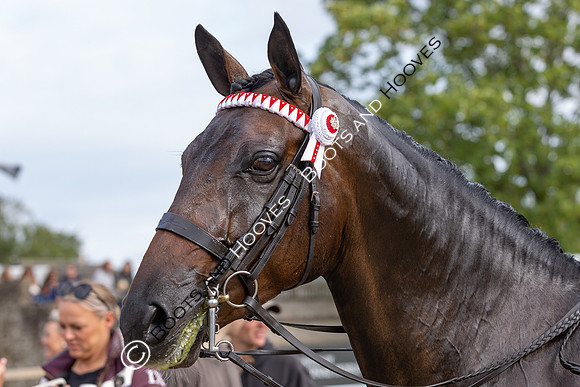The Royal International Horse Show