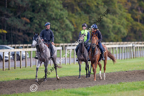 Newmarket