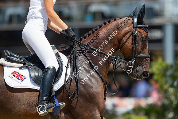 FEI Junior European Championship Young Riders, Juniors & Childre
