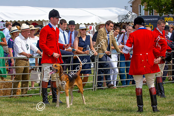 Festival of Hunting