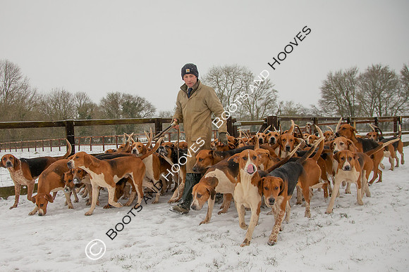 Hound Exercise