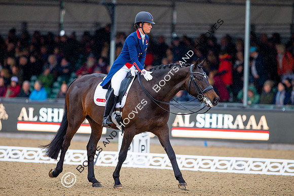 Royal Windsor Horse Show