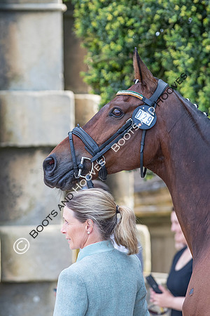 Badminton Horse Trials