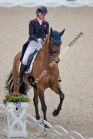 CHIO Aachen World Equestrian Festival