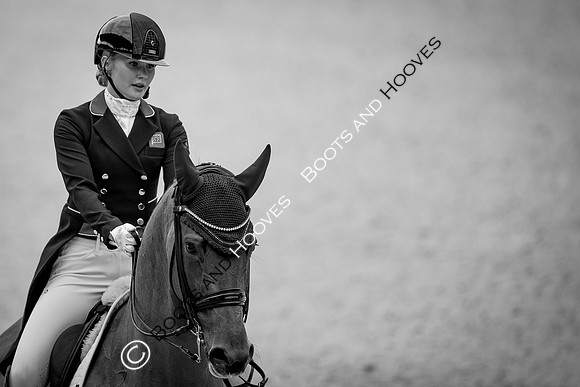 CHIO Aachen World Equestrian Festival