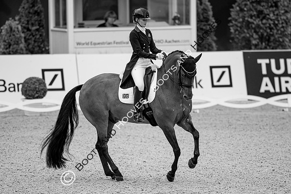 CHIO Aachen World Equestrian Festival