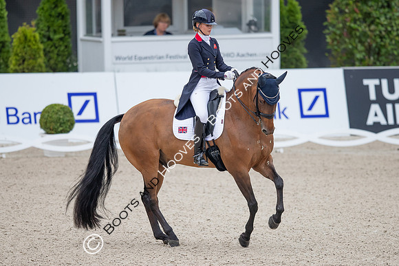 CHIO Aachen World Equestrian Festival