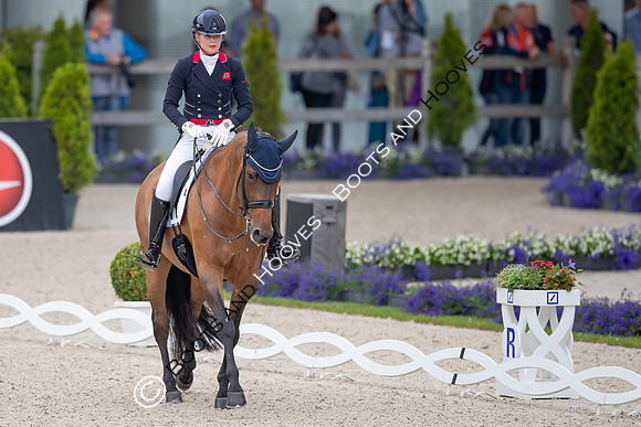 CHIO Aachen World Equestrian Festival