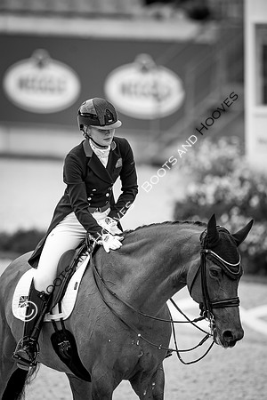 CHIO Aachen World Equestrian Festival