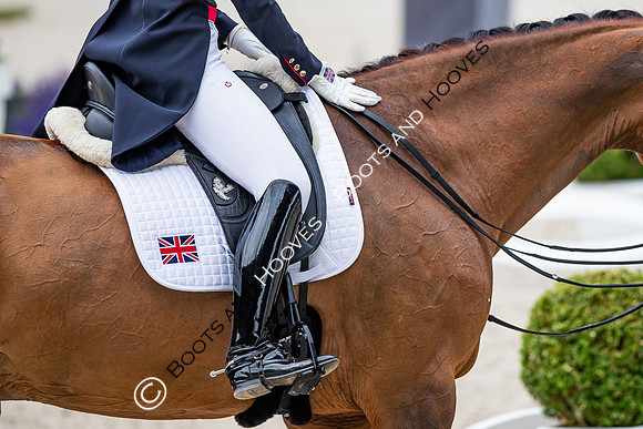 CHIO Aachen World Equestrian Festival