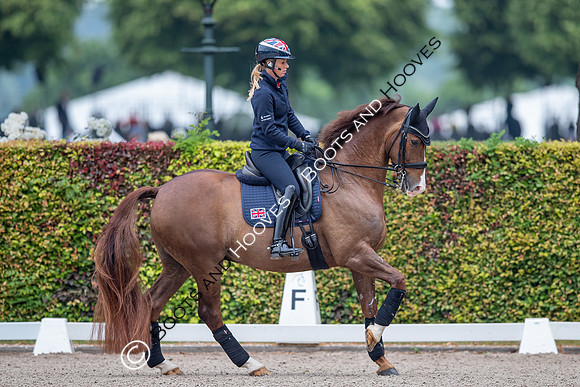 CHIO Aachen World Equestrian Festival