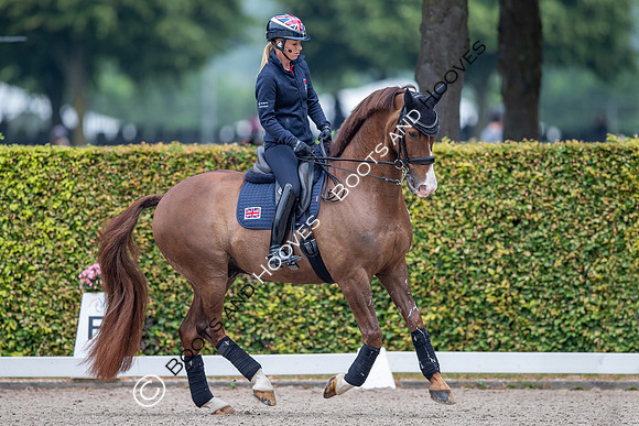 CHIO Aachen World Equestrian Festival