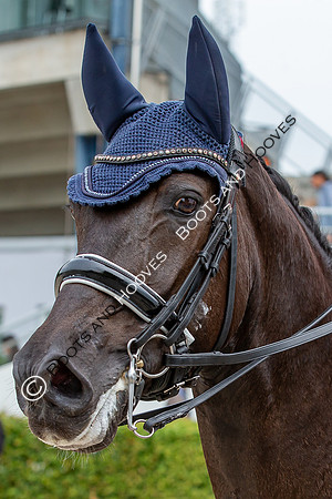 CHIO Aachen World Equestrian Festival
