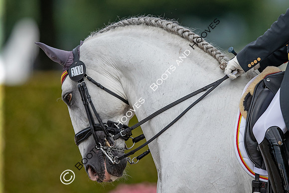 CHIO Aachen World Equestrian Festival