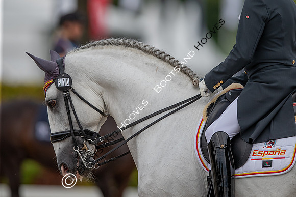 CHIO Aachen World Equestrian Festival
