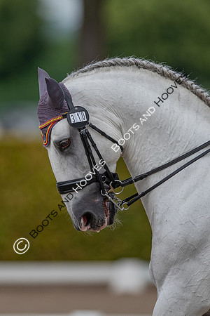 CHIO Aachen World Equestrian Festival