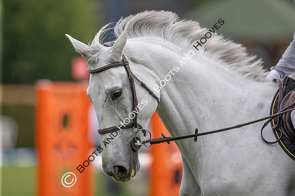 CHIO Aachen World Equestrian Festival