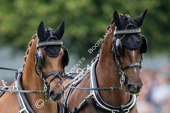 CHIO Aachen World Equestrian Festival