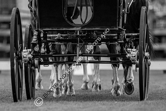 CHIO Aachen World Equestrian Festival