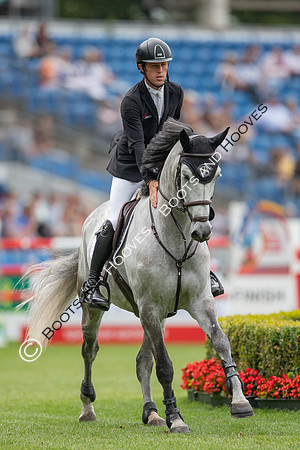 CHIO Aachen World Equestrian Festival