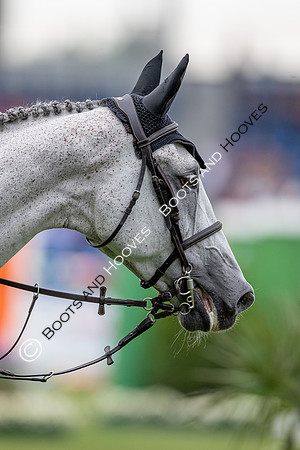 CHIO Aachen World Equestrian Festival