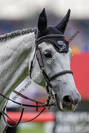 CHIO Aachen World Equestrian Festival