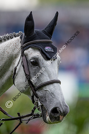 CHIO Aachen World Equestrian Festival