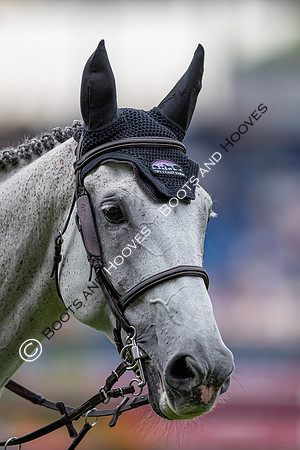 CHIO Aachen World Equestrian Festival