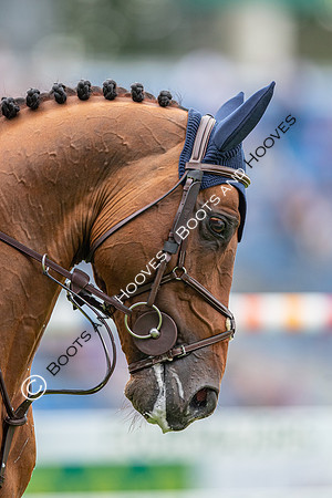 CHIO Aachen World Equestrian Festival